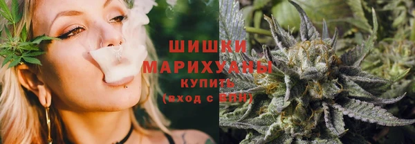мдпв Ельня
